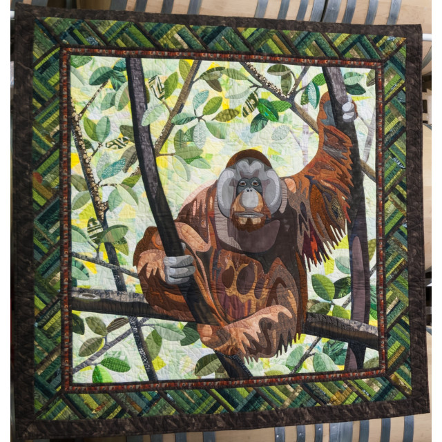 Orangutan