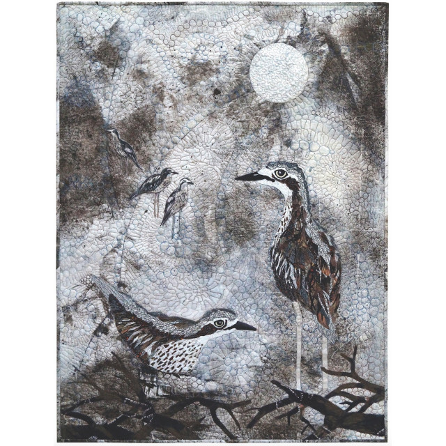 Bush Stone-Curlew