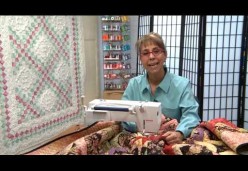 30 Tips and Tricks for Better Machine Quilting with Cindy Seitz-Krug - Tip 28 - Smooth Stops and Starts