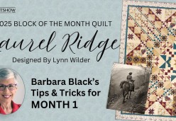 Block of the Month Quilt - Laurel Ridge by Lynn Wilder - Month 1