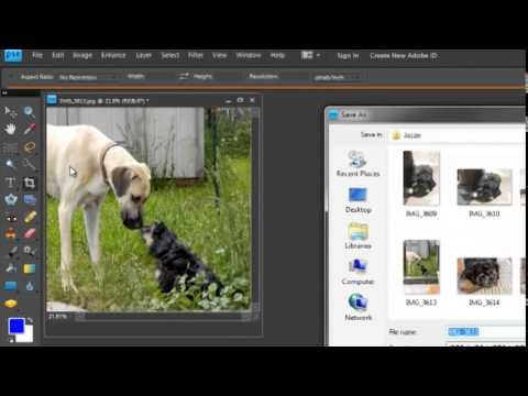 Printing on Fabric - Lesson 03 - Cropping and Resizing the Picture