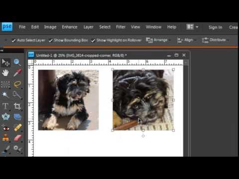 Printing on Fabric - Lesson 04 - Printing Multiple Photos