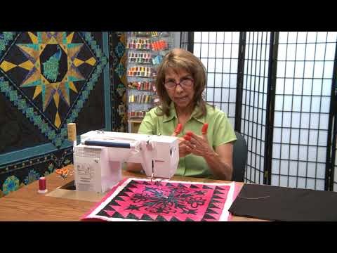 30 Tips and Tricks for Better Machine Quilting with Cindy Seitz-Krug - Tip 08 - Echo Quilting