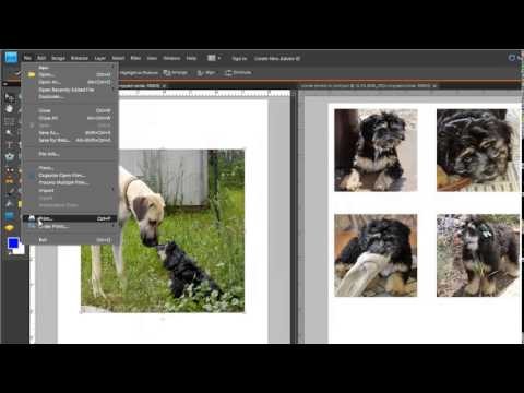 Printing on Fabric - Lesson 05 - Printing Tips
